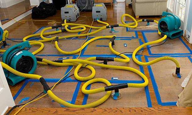 Professional Structural Drying And Dehumidification technician working in Lyle, MN